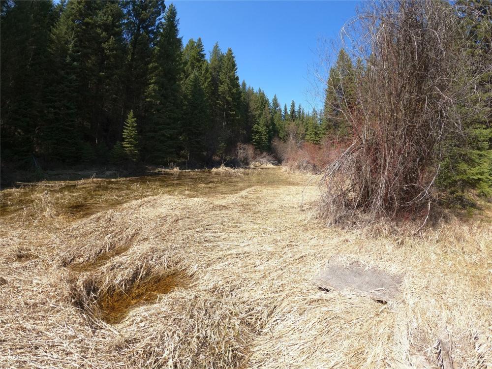 Currently Displayed Property Photo