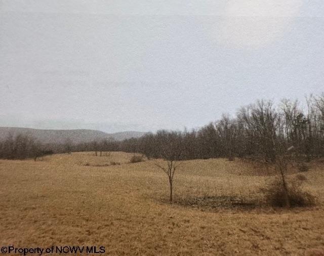 Currently Displayed Property Photo