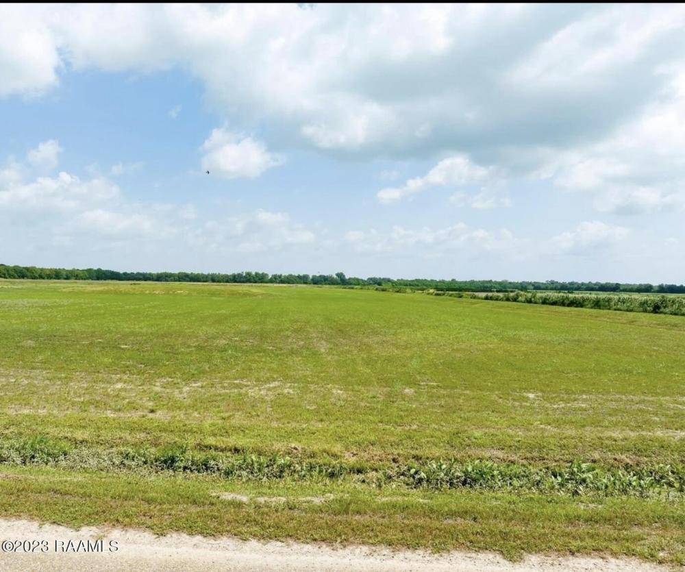 Currently Displayed Property Photo