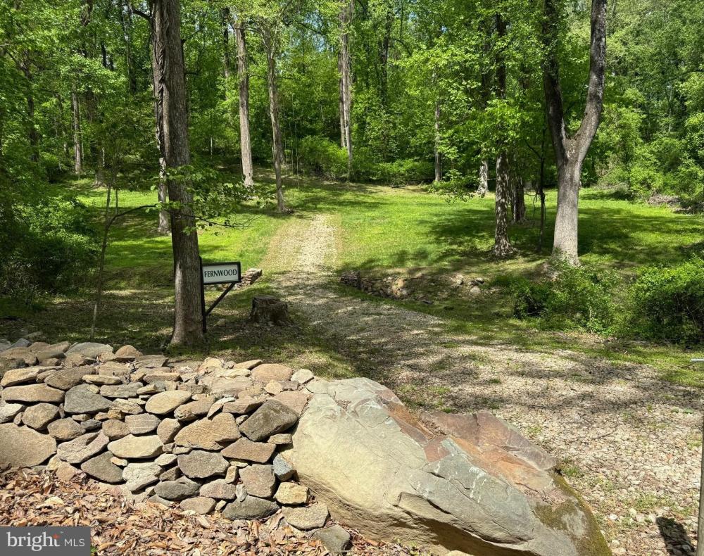Currently Displayed Property Photo