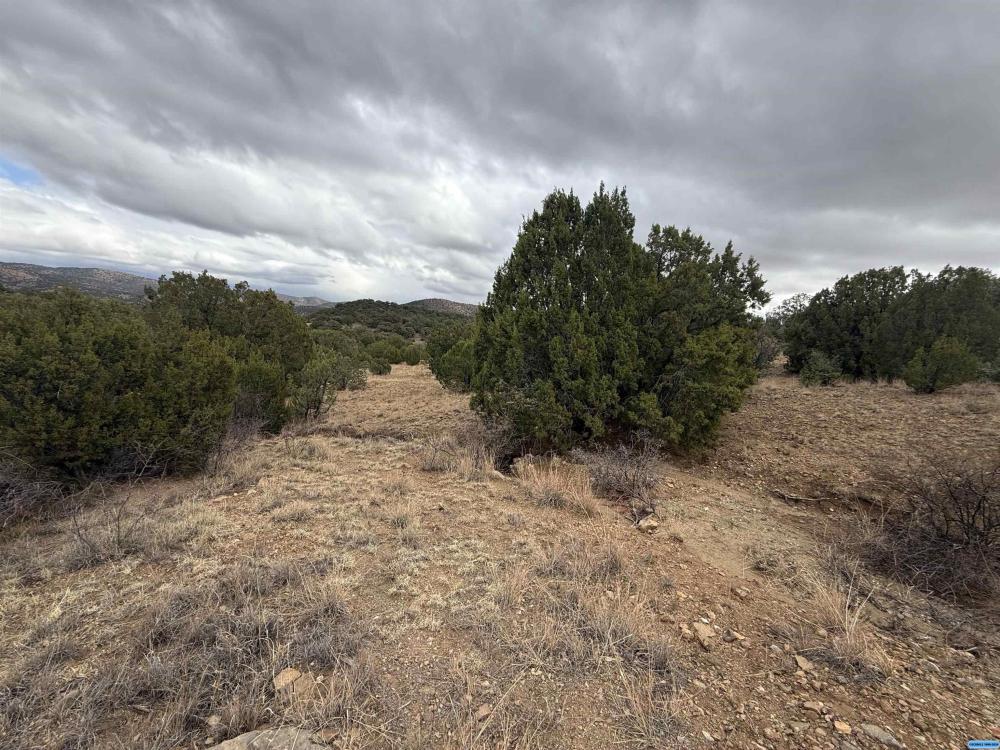 Currently Displayed Property Photo