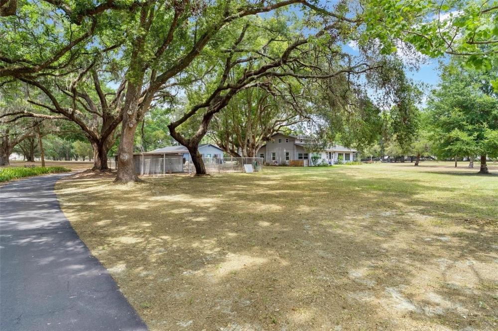 Currently Displayed Property Photo