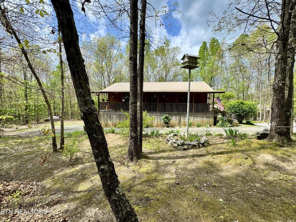 Currently Displayed Property Photo