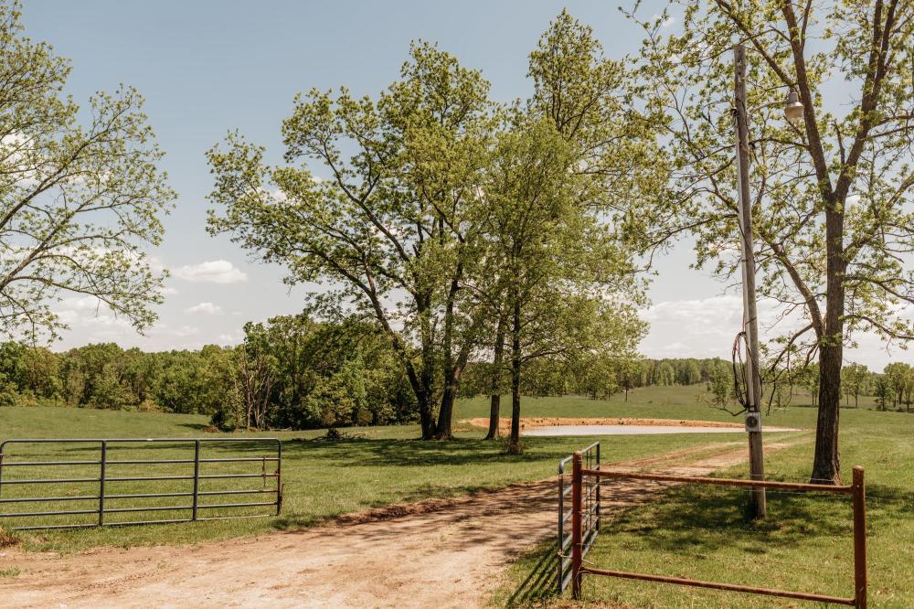 Currently Displayed Property Photo