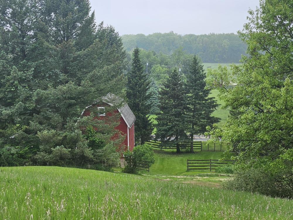 Currently Displayed Property Photo
