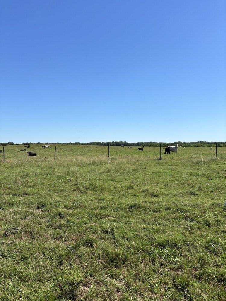 Currently Displayed Property Photo