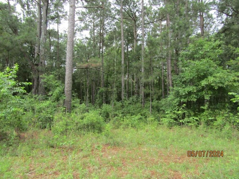 Currently Displayed Property Photo